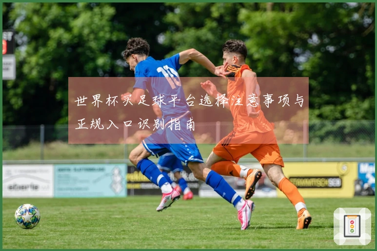 世界杯买足球平台选择注意事项与正规入口识别指南